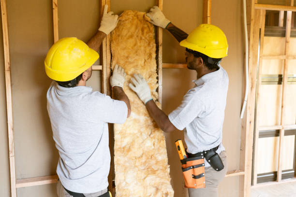 Best Insulation Removal  in Woodside, PA
