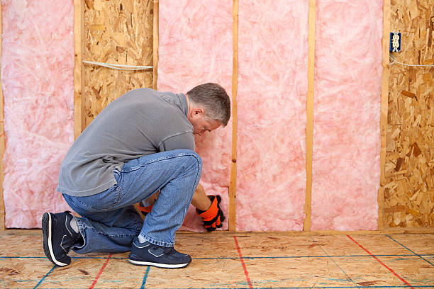 Best Blown-in Insulation  in Woodside, PA